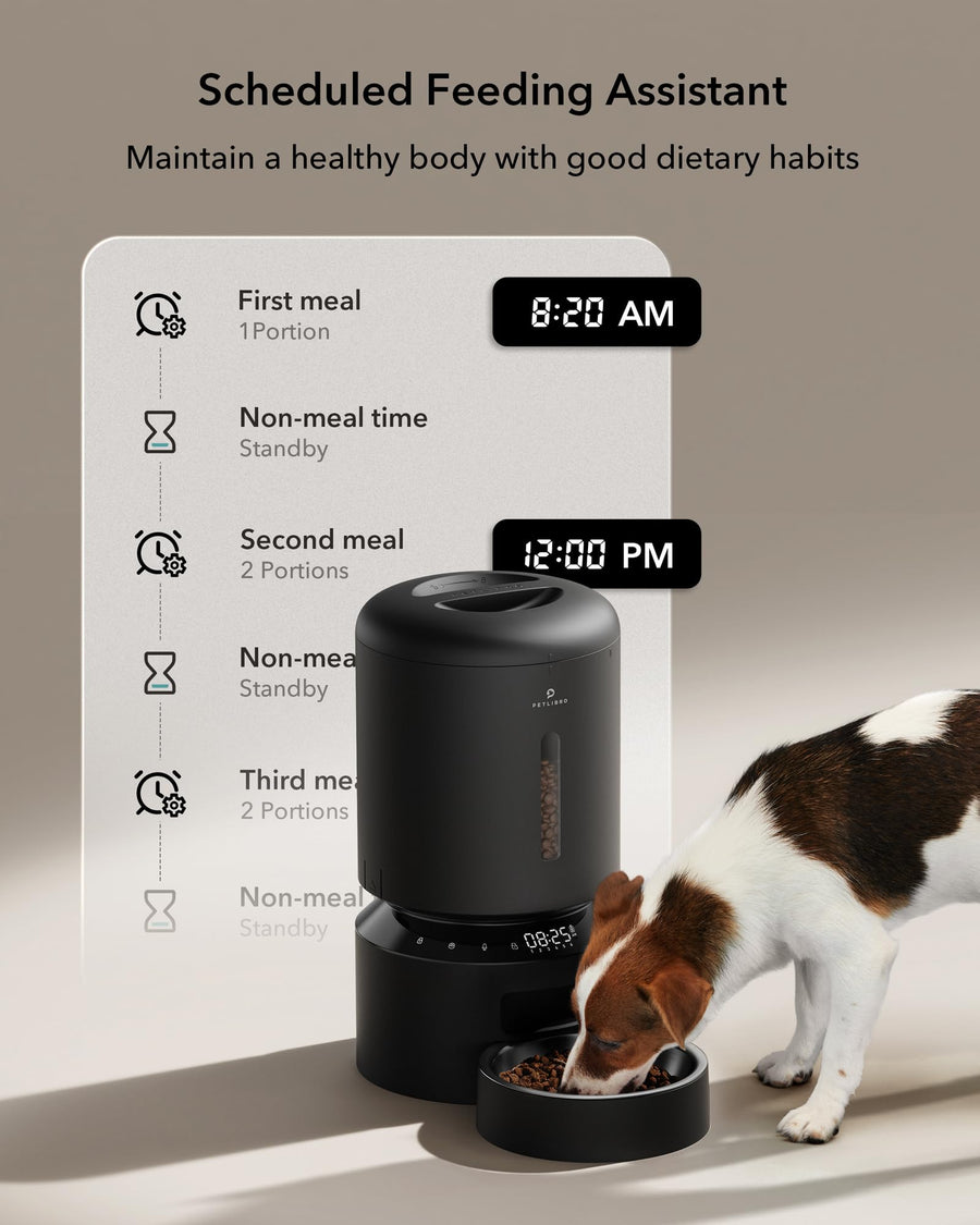 5L Automatic Cat Feeder with Dual Stainless Steel Bowls