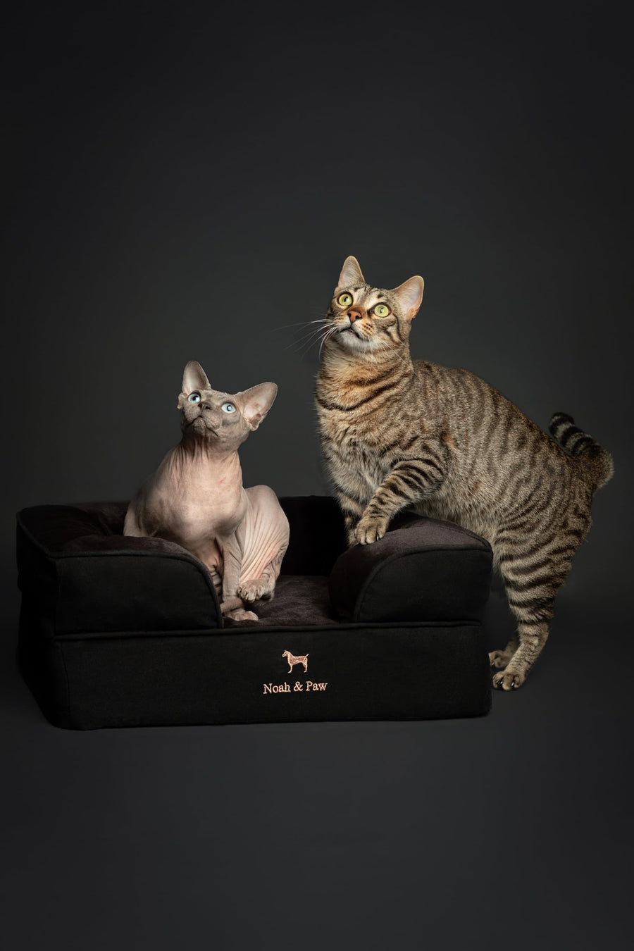 Cooling Gel Orthopedic Memory Foam Pet Bed with Washable Cover