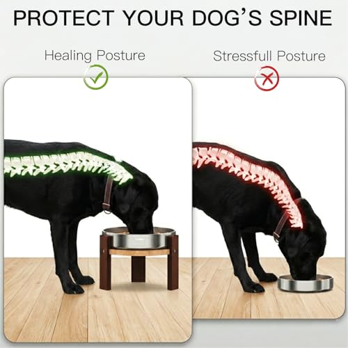 Elevated Hardwood Dog Bowl Stand with Stainless Steel Bowls