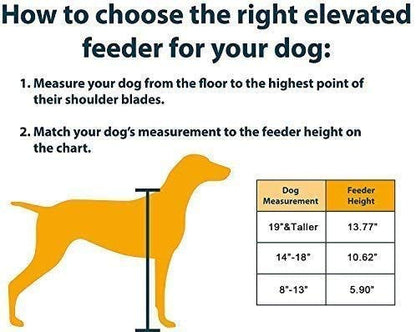 Elevated Dog Bowls with Raised Food & Water Stand