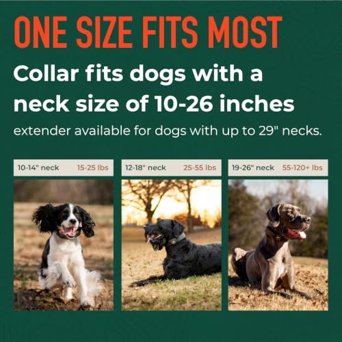SpotOn Nova GPS Dog Fence Collar, App-Controlled Wireless Fence