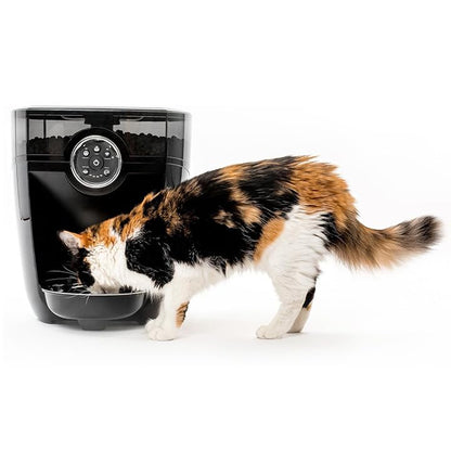 Smart Automatic Pet Feeder with Remote Feeding