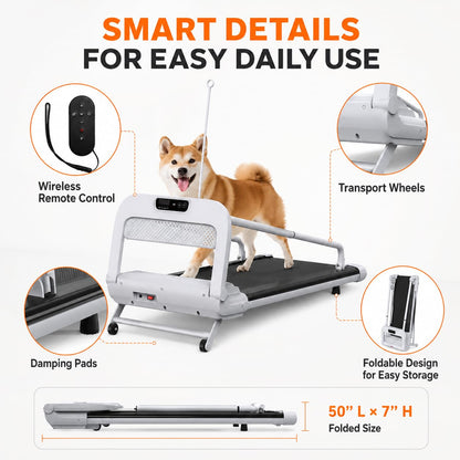 2-in-1 Folding Dog & Human Treadmill with Quiet 2.5HP Motor