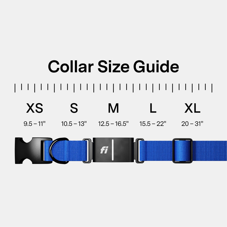 Smart GPS Dog Tracker Collar with Health & Escape Alerts