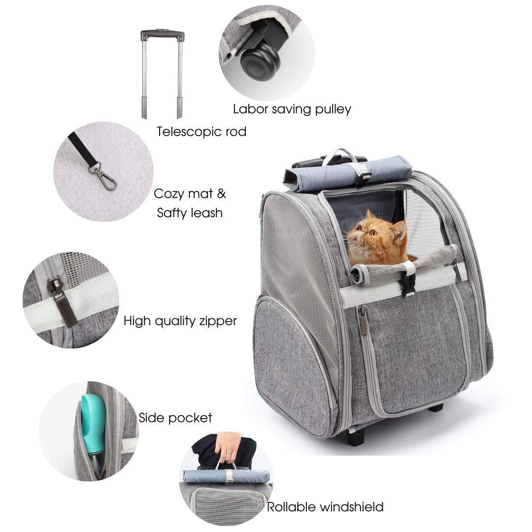 Ventilated Pet Carrier Backpack for Cats and Small Dogs