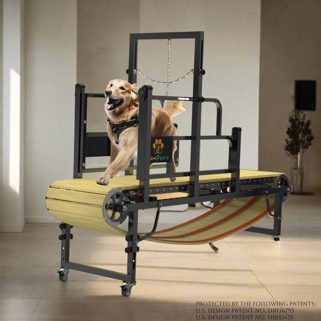 Non-Motorized Dog Slatmill with Brake up to 330 lbs