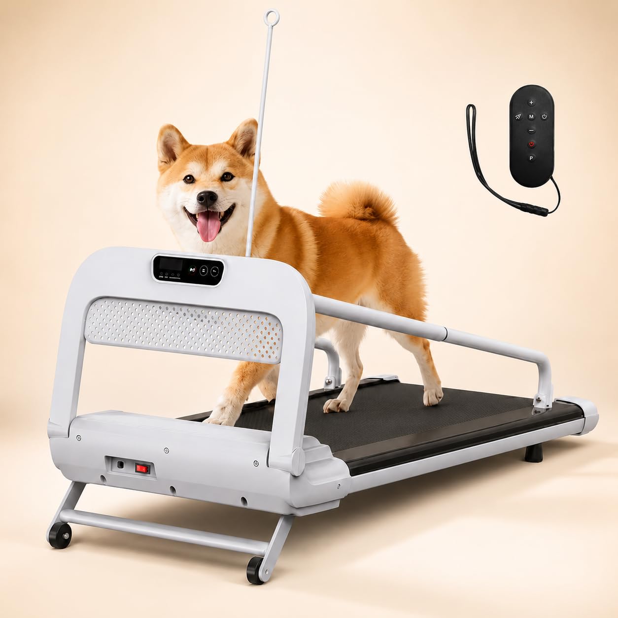2-in-1 Folding Dog & Human Treadmill with Quiet 2.5HP Motor