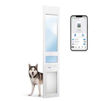 WiFi Smart Automatic Pet Door with Secure Weatherproof Design