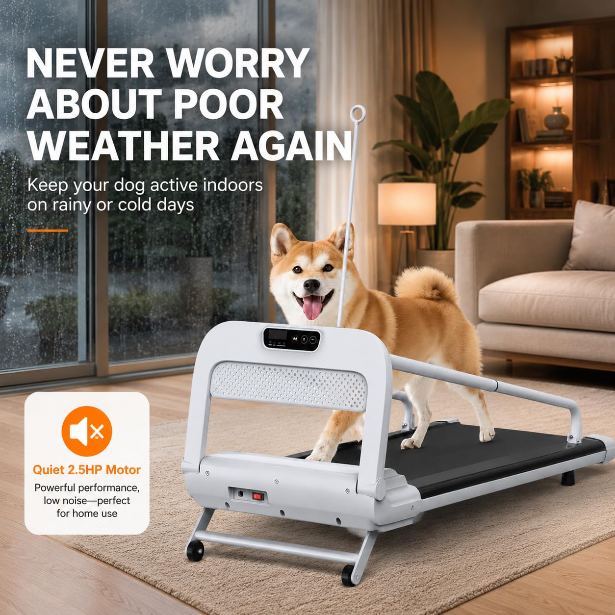 2-in-1 Folding Dog & Human Treadmill with Quiet 2.5HP Motor