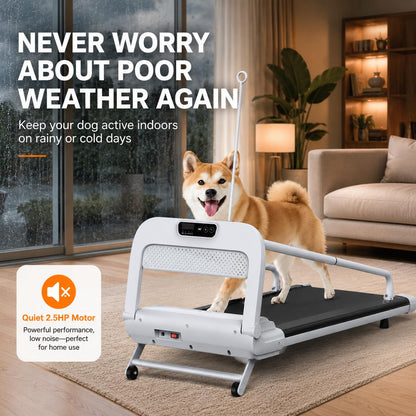 2-in-1 Folding Dog & Human Treadmill with Quiet 2.5HP Motor