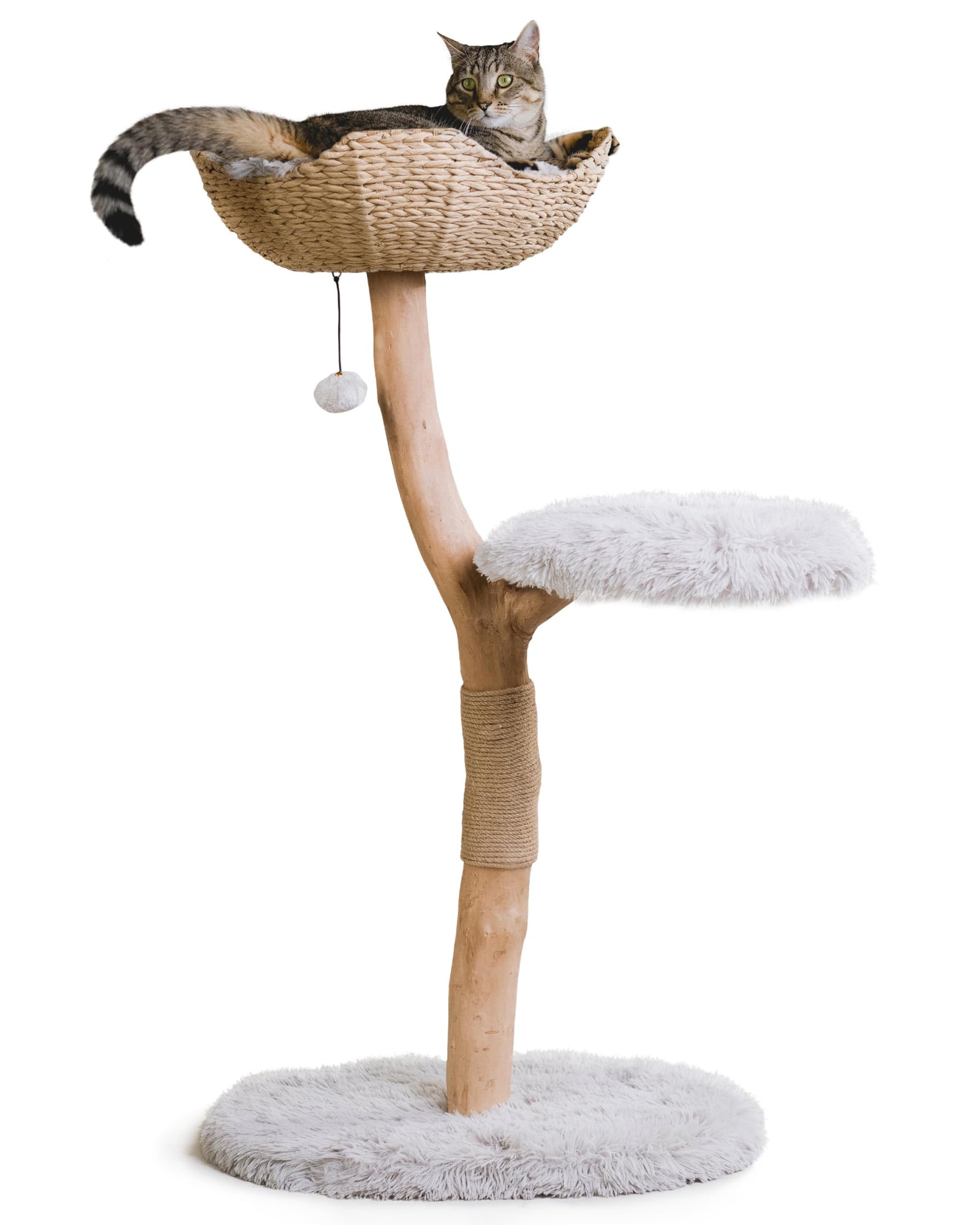 Modern Real Wood Cat Tree Tower with Condo and Climbing Branch