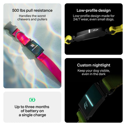 Smart GPS Dog Tracker Collar with Health & Escape Alerts