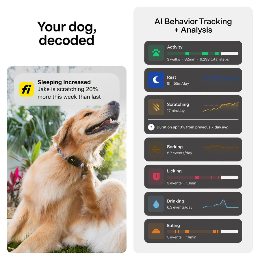 Fi Mini Smart GPS Tracker for Dogs, Health Tracking, Waterproof