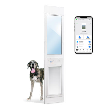 WiFi Smart Automatic Pet Door with Secure Weatherproof Design