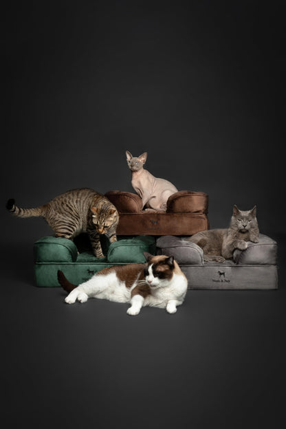 Cooling Gel Orthopedic Memory Foam Pet Bed with Washable Cover
