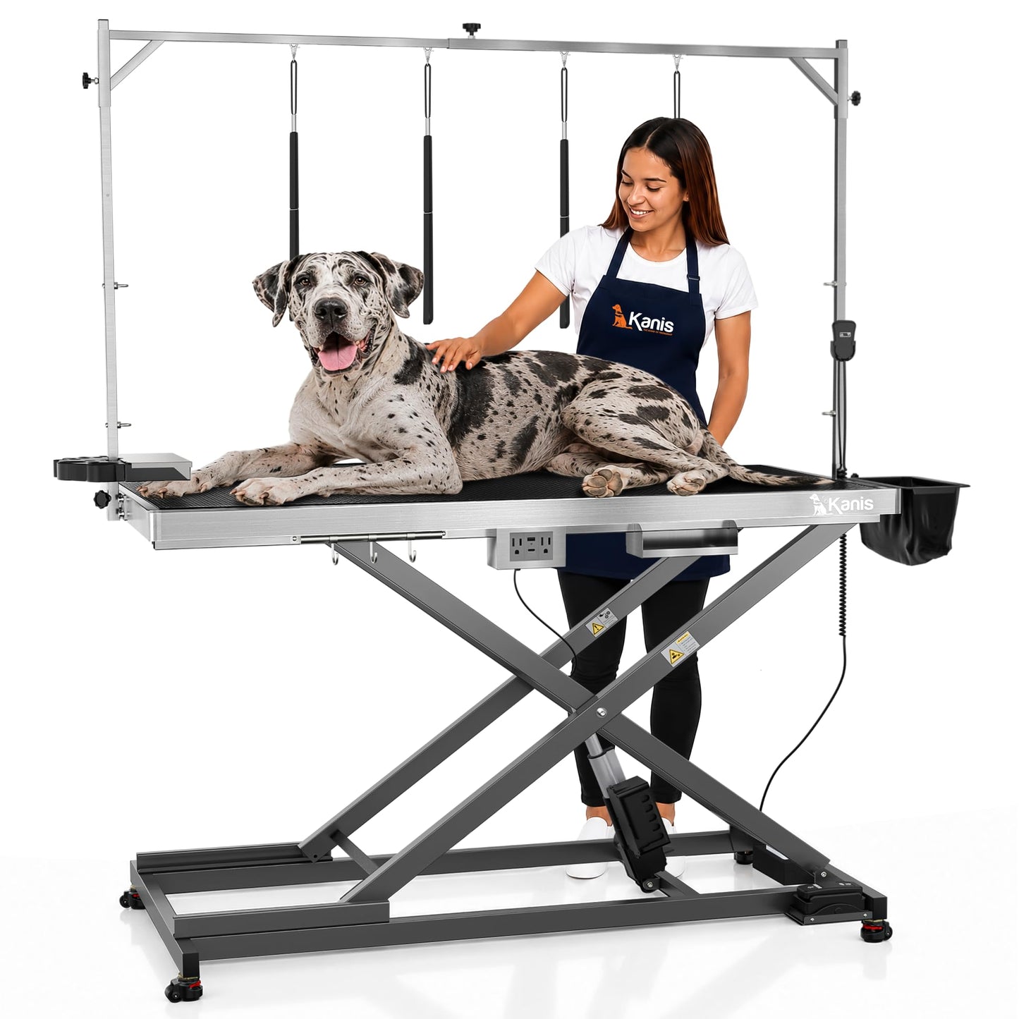 Professional Electric Height-Adjustable Dog Grooming Table