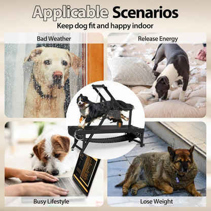 Non-Motorized Dog Slat Treadmill with Brake up to 300 lbs