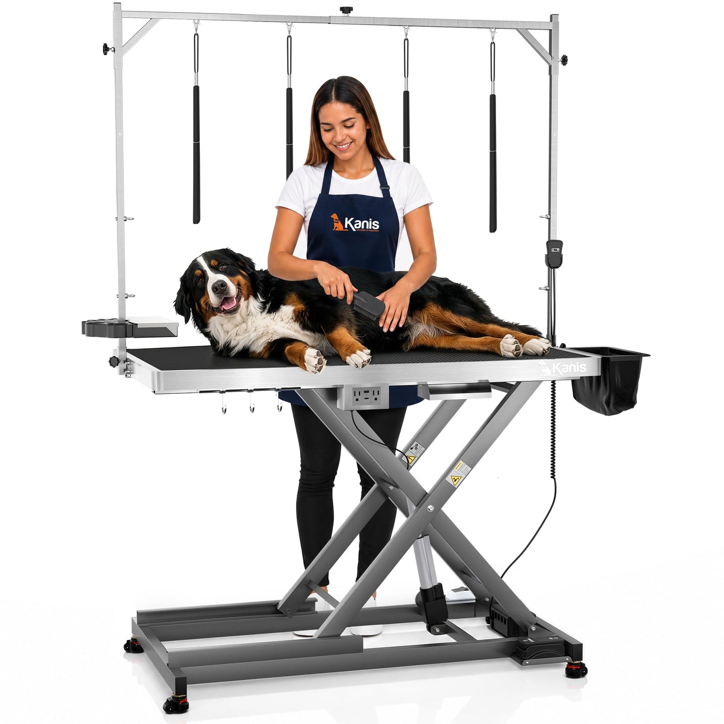 Professional Electric Height-Adjustable Dog Grooming Table