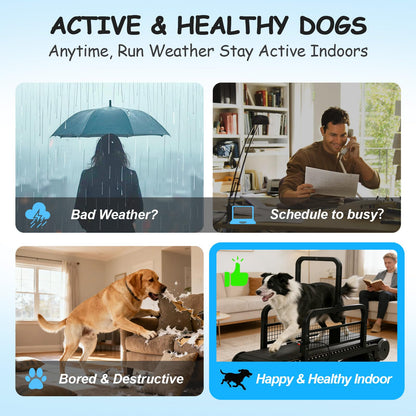 Adjustable Dog Treadmill with Brake, Speedometer & Incline