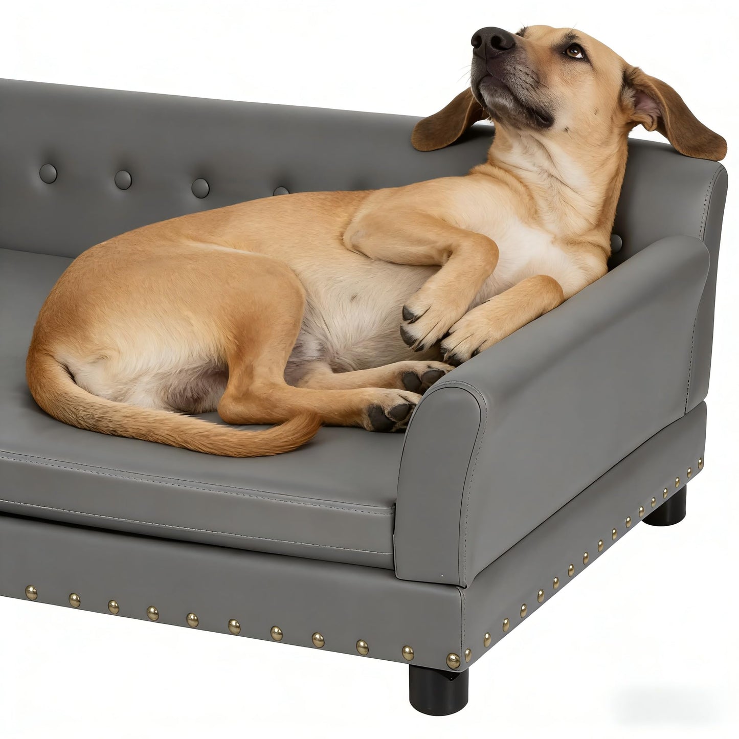BingoPaw Extra Large Dog Sofa Couch XL (47.24x 29.13inch)