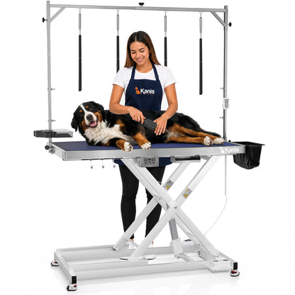 Professional Electric Height-Adjustable Dog Grooming Table