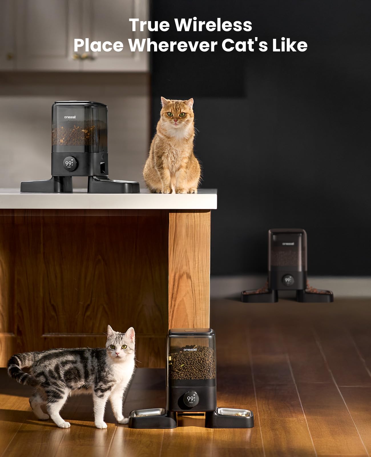 5L Dual-Bowl Automatic Cat Feeder for Two Cats