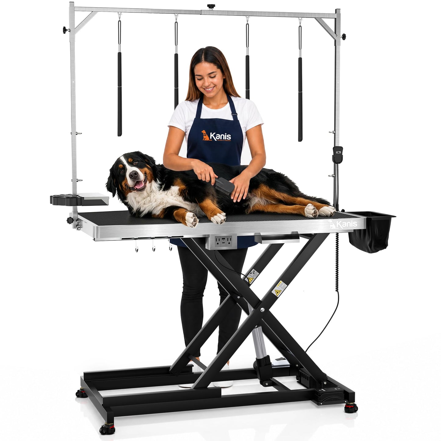 Professional Electric Height-Adjustable Dog Grooming Table