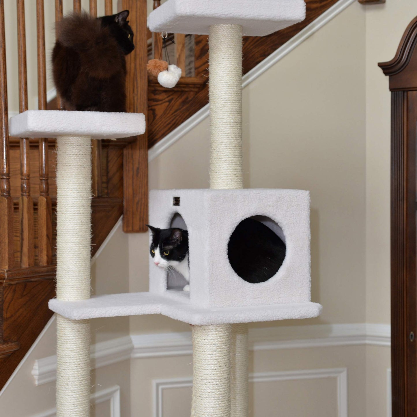 73-Inch Real Wood Cat Tree with Hammock, Condo & Perch