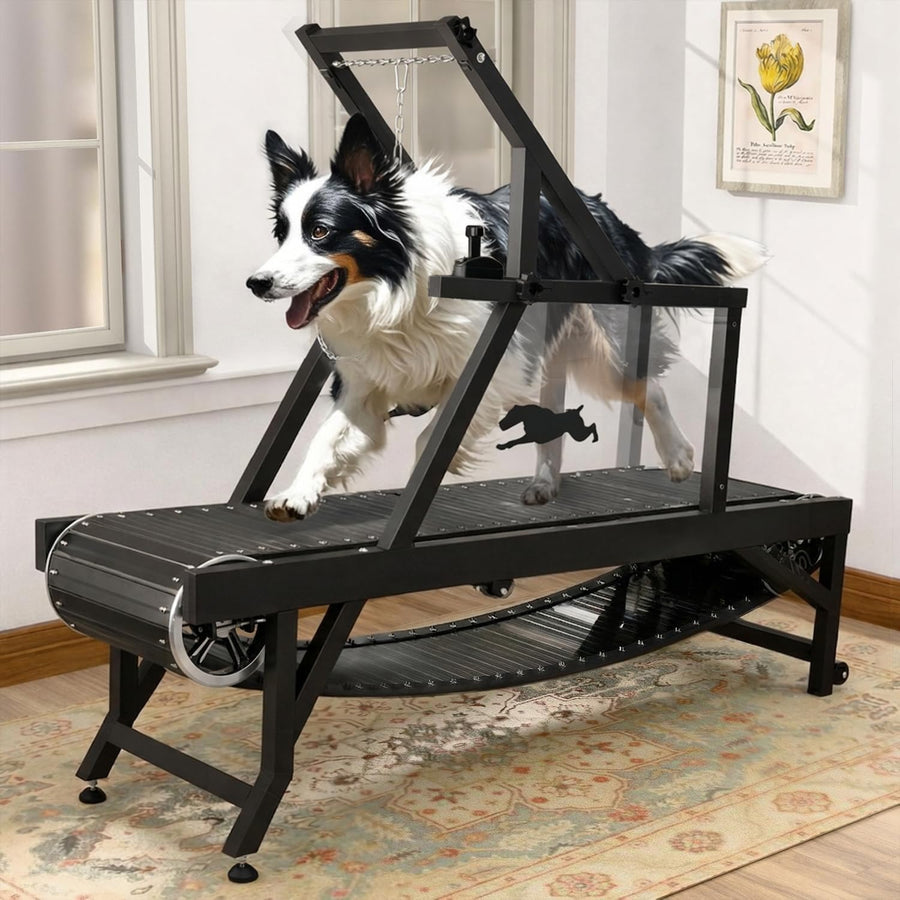 Non-Motorized Dog Slat Treadmill with Brake up to 300 lbs