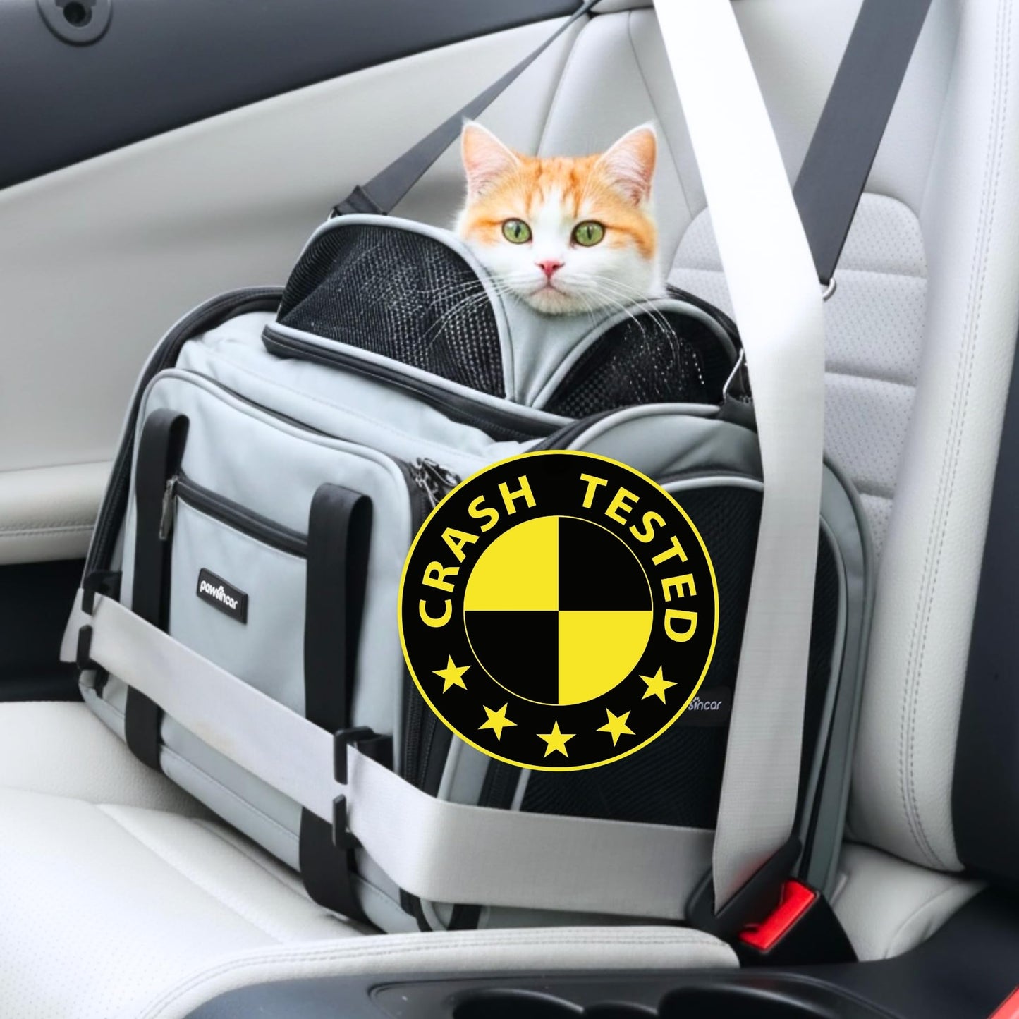 Crash-Tested Expandable Pet Carrier and Car Seat for Safe Travel