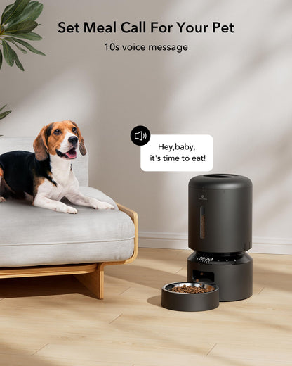 5L Automatic Cat Feeder with Dual Stainless Steel Bowls