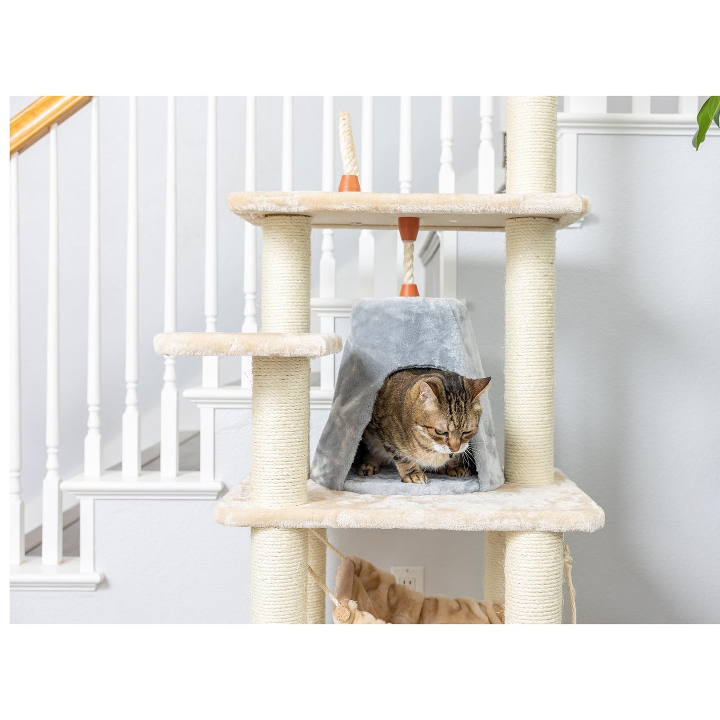 65-Inch Real Wood Cat Tree with Multi-Level Condo