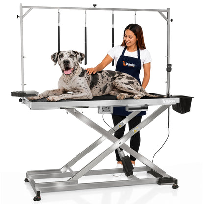 Professional Electric Height-Adjustable Dog Grooming Table