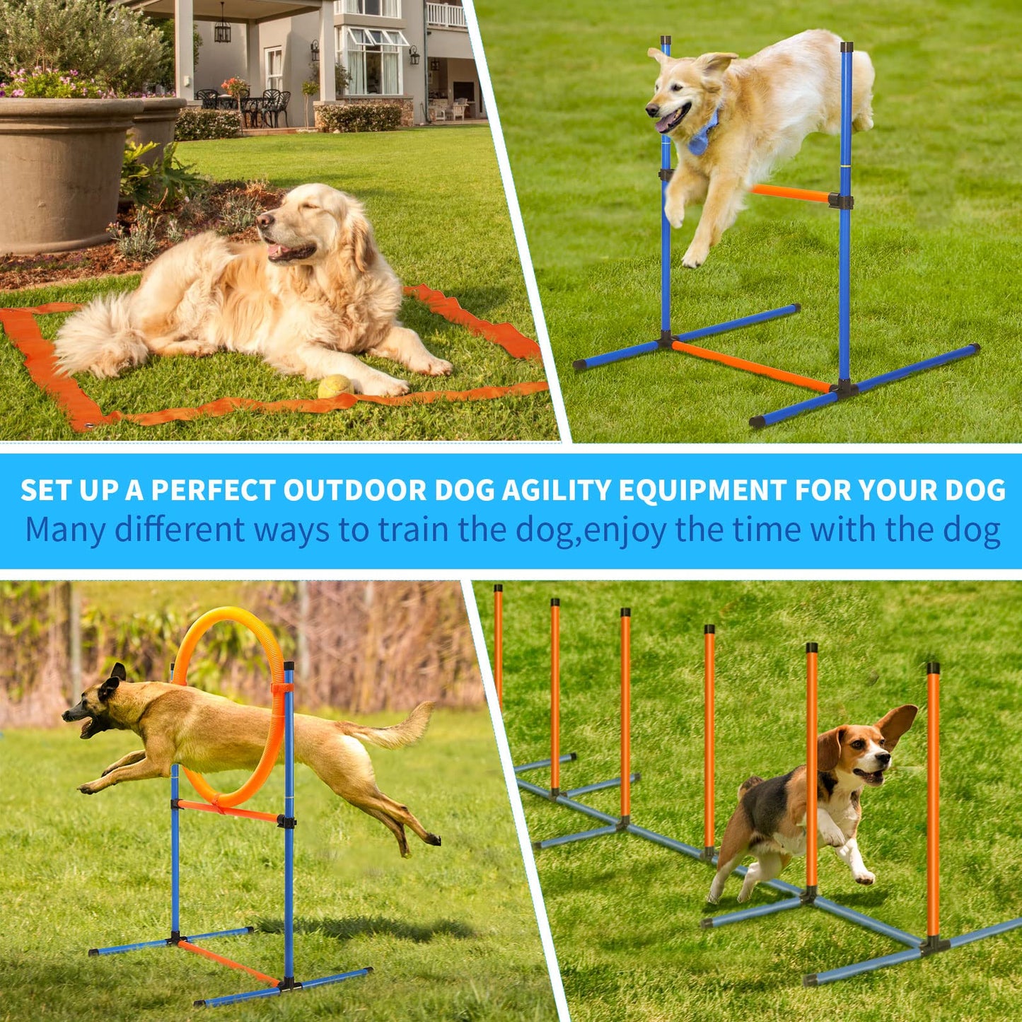 JMMPOO Dog Agility Set