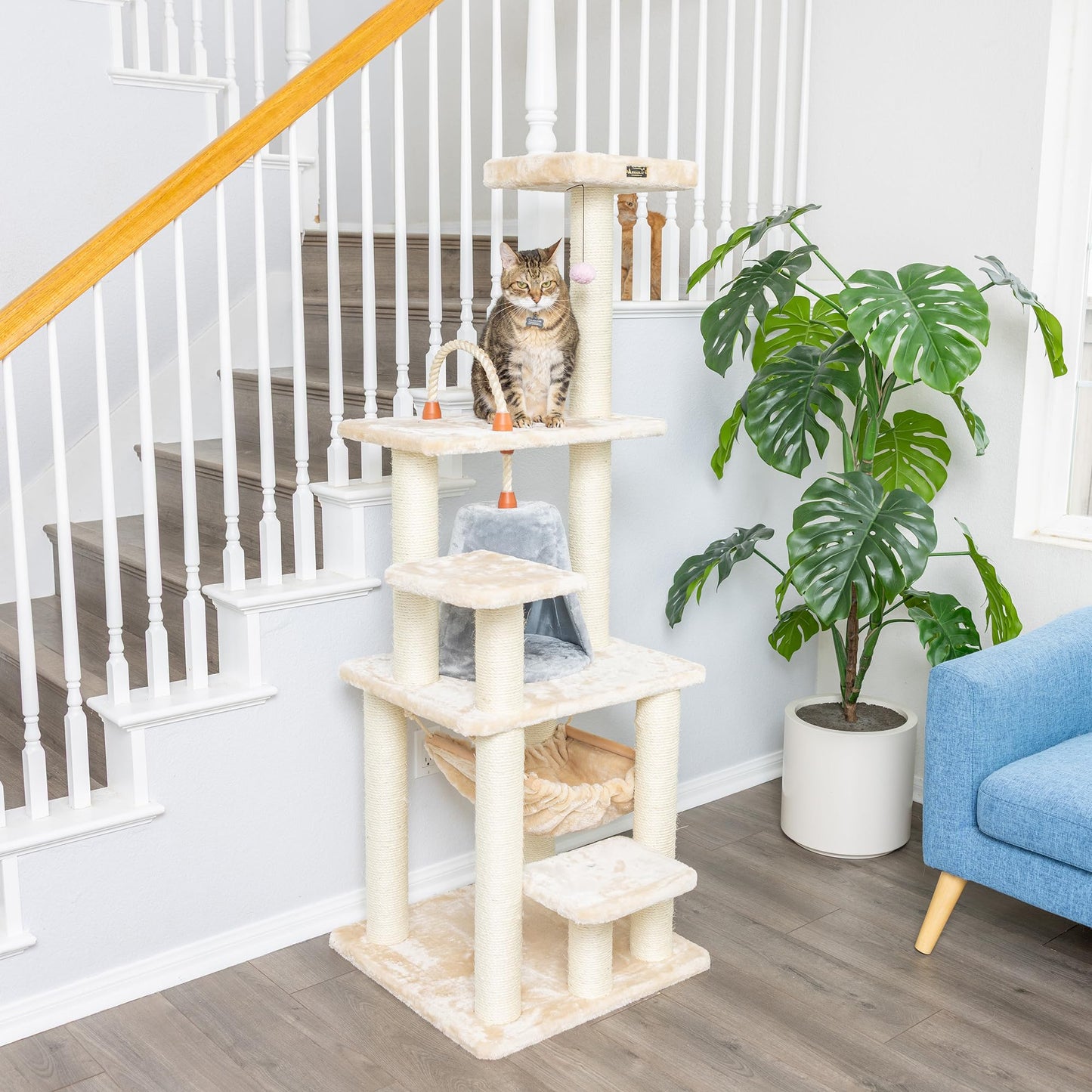65-Inch Real Wood Cat Tree with Multi-Level Condo
