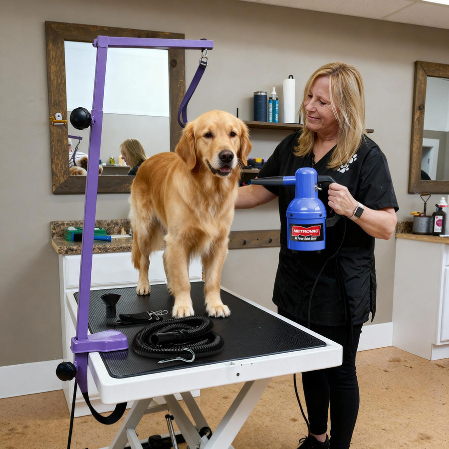 Portable High-Velocity Pet Grooming Dryer for Dogs