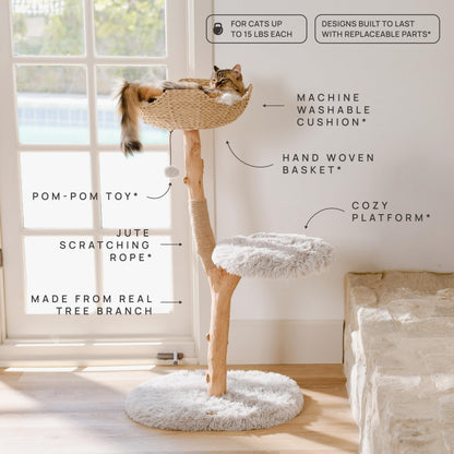 Modern Real Wood Cat Tree Tower with Condo and Climbing Branch