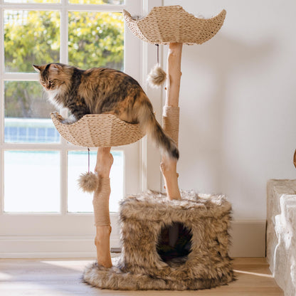 Luxury Real Wood Cat Tree Tower for Large Cats with Condo
