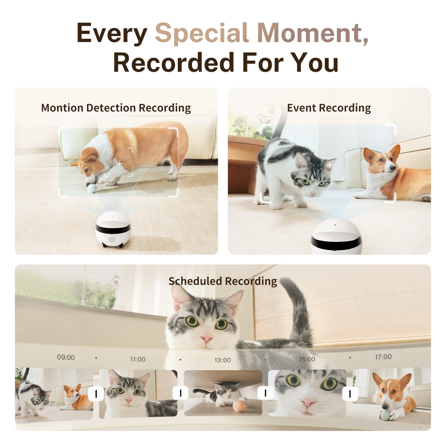 Enabot EBO ROLA Mini Pet Camera Robot: 2K FamilyBot Mobile Home Companion