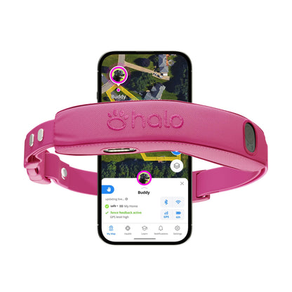 Halo Collar 5 GPS Wireless Dog Fence