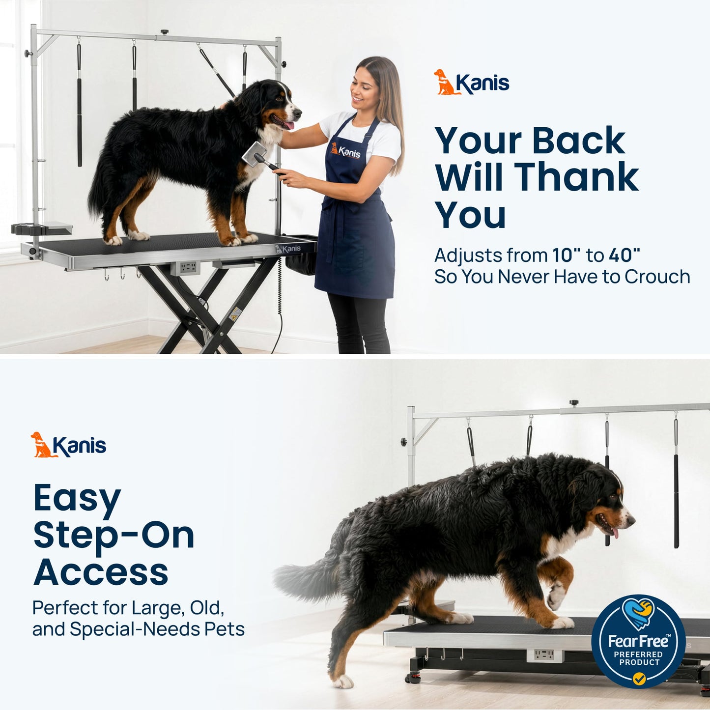 Professional Electric Height-Adjustable Dog Grooming Table