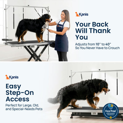 Professional Electric Height-Adjustable Dog Grooming Table