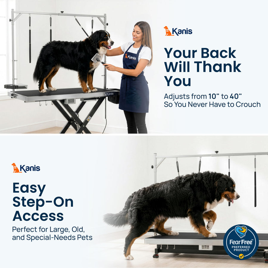Professional Electric Height-Adjustable Dog Grooming Table