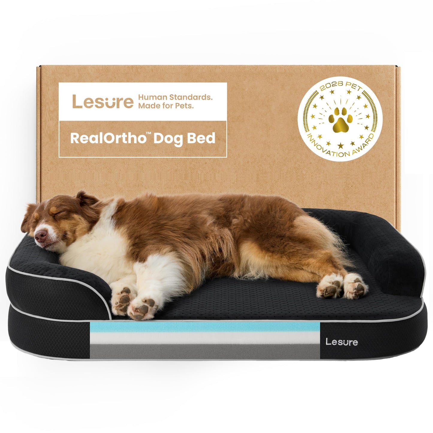 3-Layer Memory Foam Orthopedic Dog Bed with Washable Cover