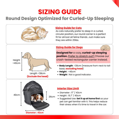 PawsInCar Crash-Tested Portable Small Dog Car Seat