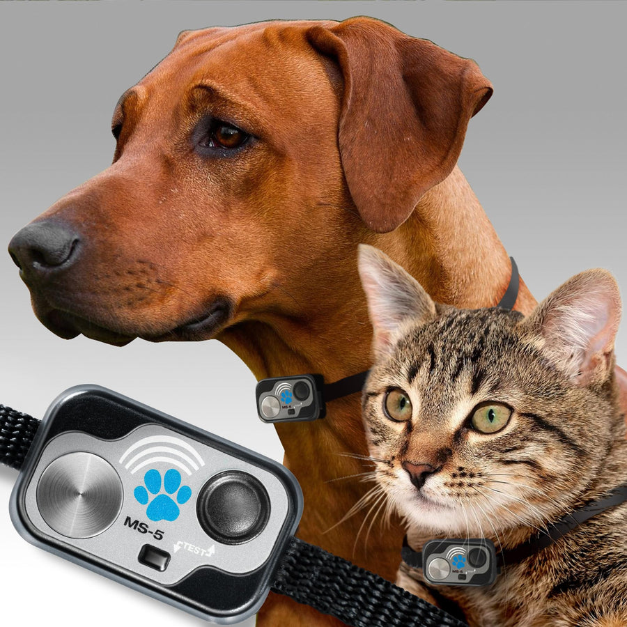 Power Pet Smart Automatic Electronic Pet Door by High Tech Pet
