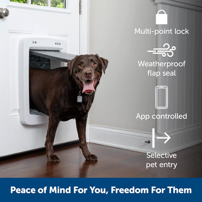 PetSafe SmartDoor App-Controlled
