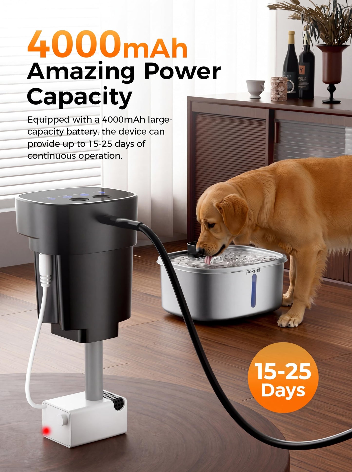 Dog Water Fountain, Automatic Pet Drinking Fountain for Dogs