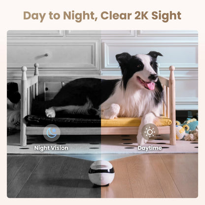 2K Mobile Pet Camera Robot with Night Vision & Two-Way Talk