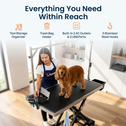 Professional Electric Height-Adjustable Dog Grooming Table